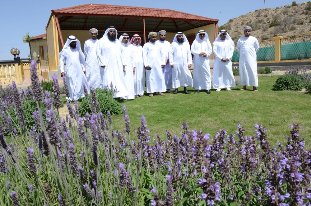 برامج نوعية لرفع مهارات الممارسين وتأهيل الجدد