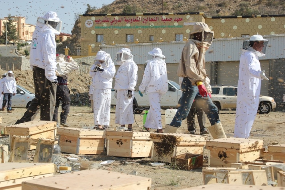 المنظمة العربية للتنمية الزراعية تنفذ دورات تدريبية في مجال نحل العسل