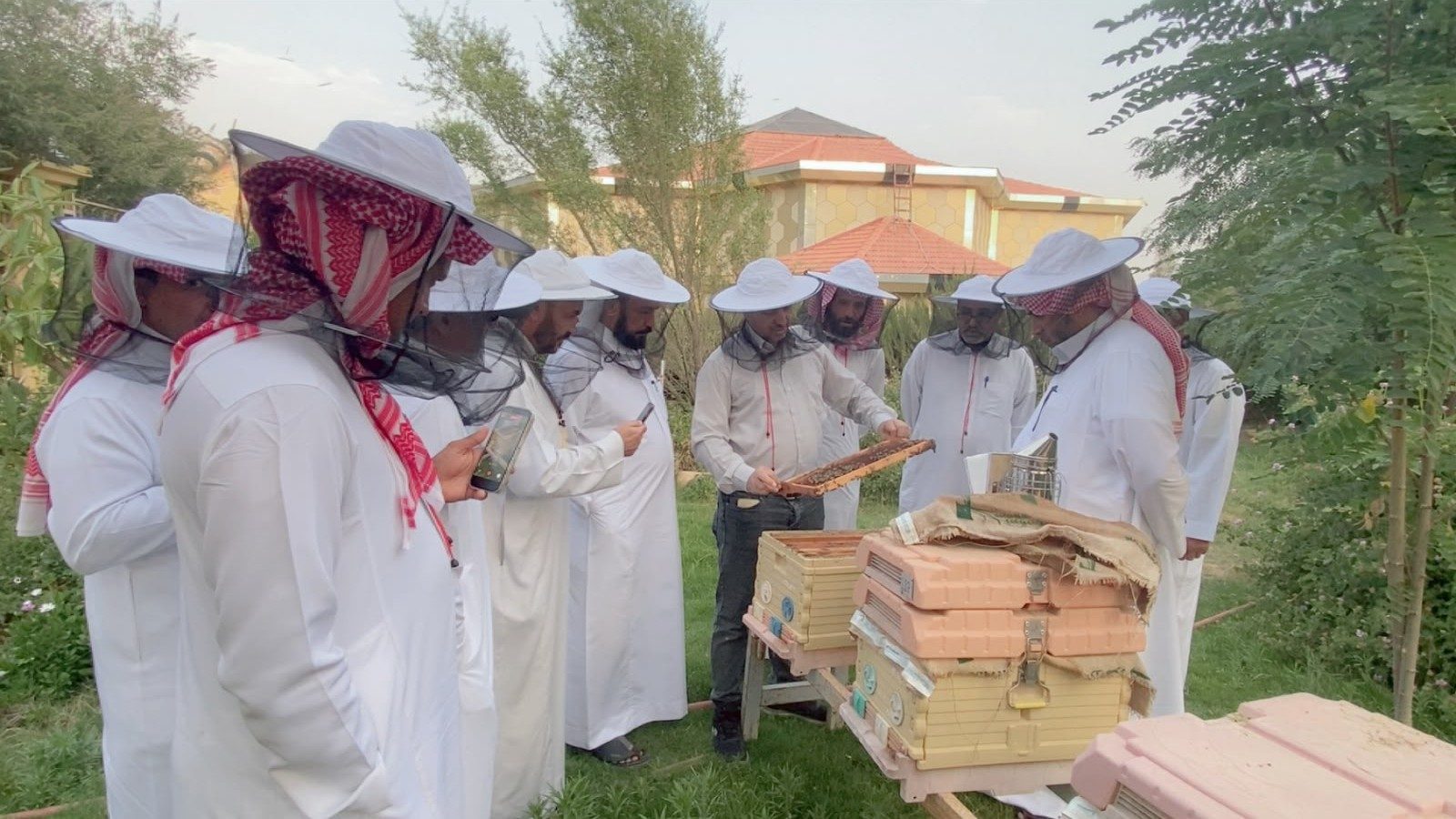 تدريب ميداني على فحص طوائف النحل
