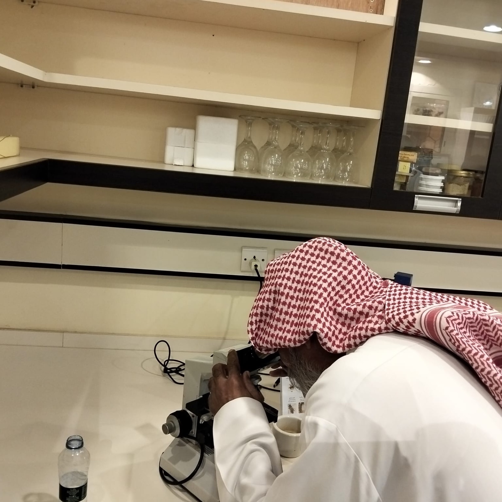 منتجات النحل ودورها في علاج مرض السكري ومكافحة مضاعفاته