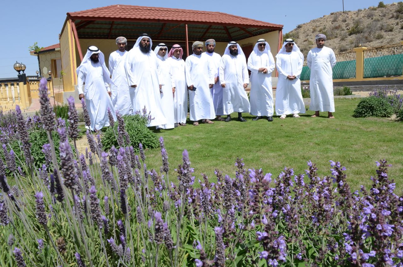الدورة المتقدمة في إدارة المناحل